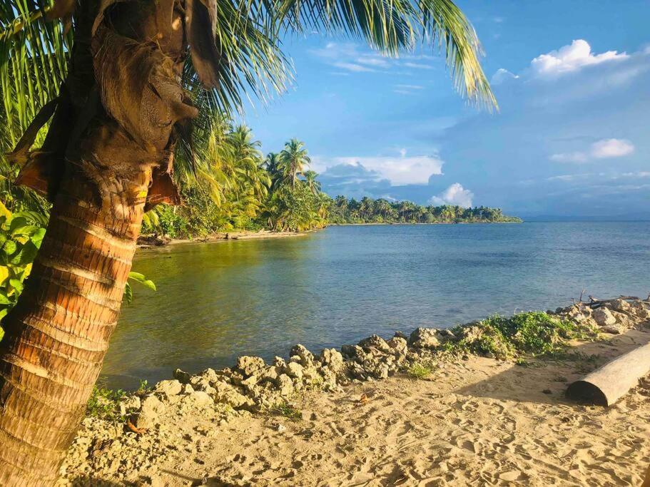 Caribbean Villages Aparments ボカス・タウン エクステリア 写真