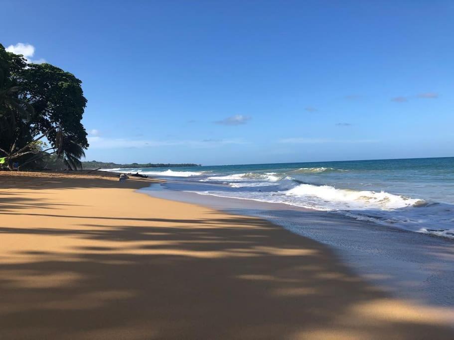 Caribbean Villages Aparments ボカス・タウン エクステリア 写真