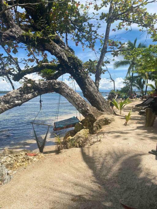 Caribbean Villages Aparments ボカス・タウン エクステリア 写真